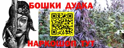 ПСИЛОЦИБИНОВЫЕ ГРИБЫ Балахна